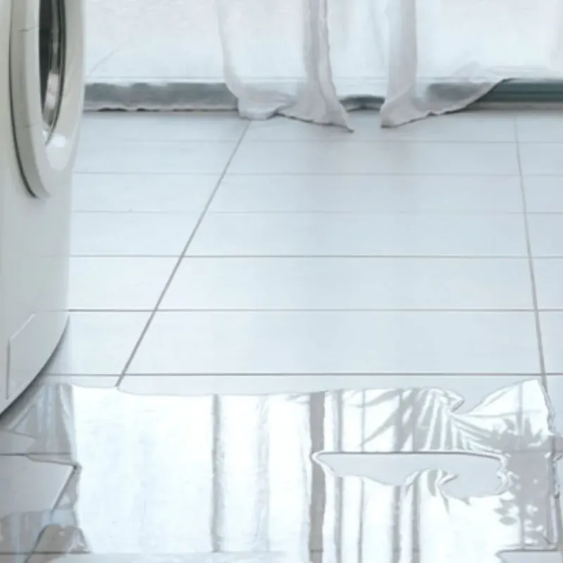 Appliance Leak Cleanup in New Ellenton, SC