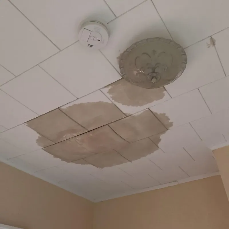 Ceiling Water Damage Repair in New Ellenton, SC