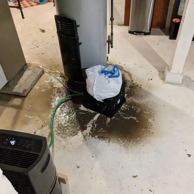 Sewage Backup Cleanup Service in New Ellenton, SC